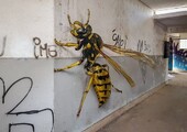 Удивительные трёхмерные граффити от португальского художника