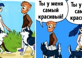 Вещи, которые делают все владельцы собак