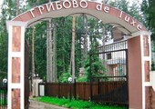 В продаже самый дорогой дом в России