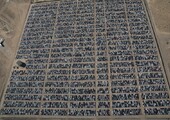 Самое большое кладбище Volkswagen в США